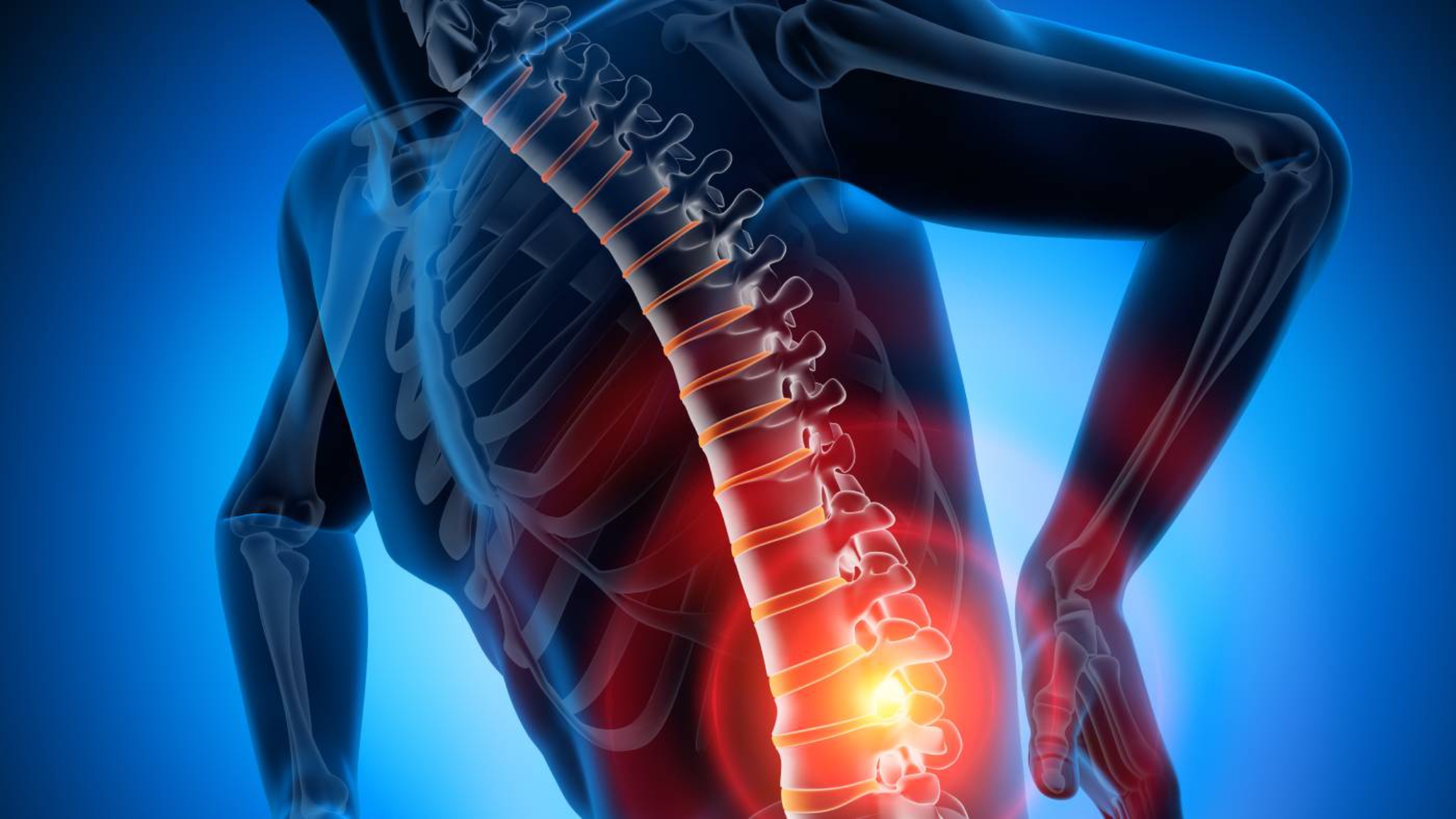 Physiotherapie_und_Wirbelsäule